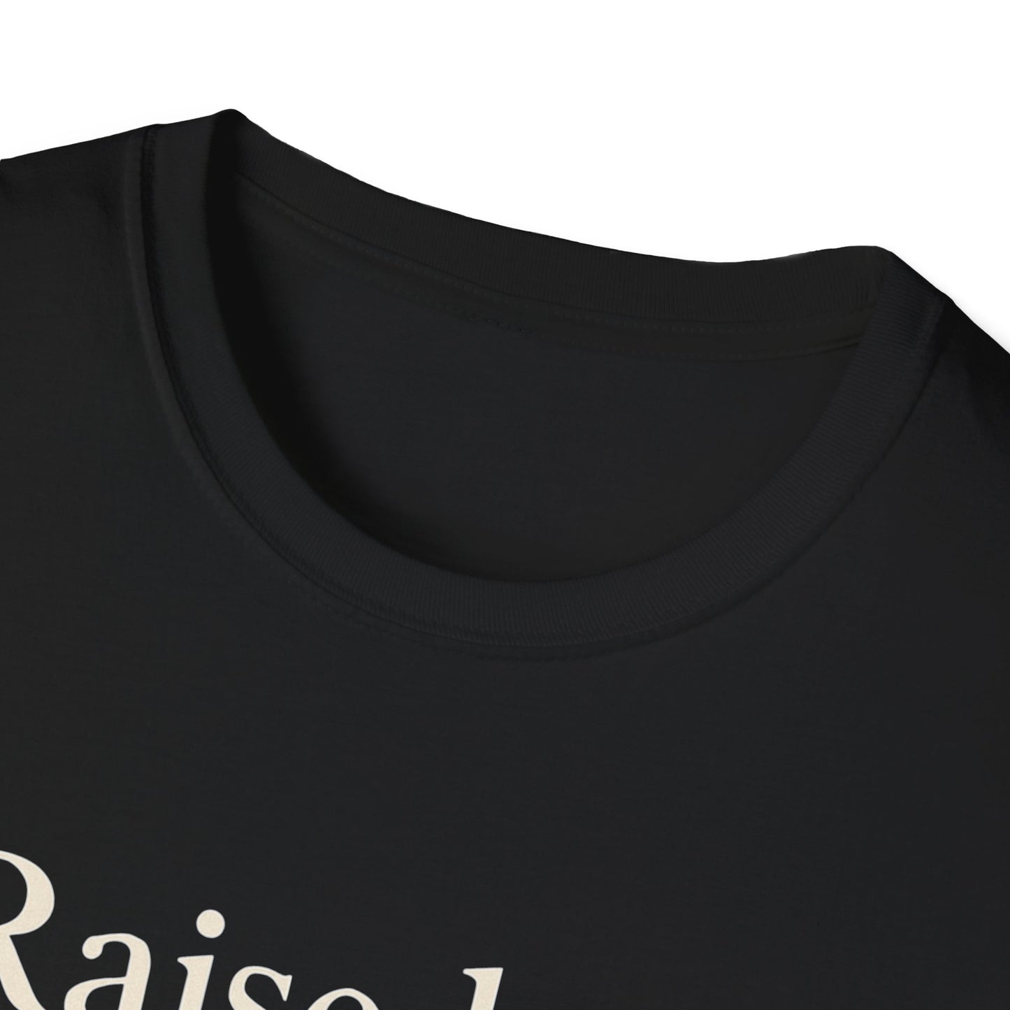 Unisex Softstyle T-Shirt - Raised By Memes, Schooled By Life