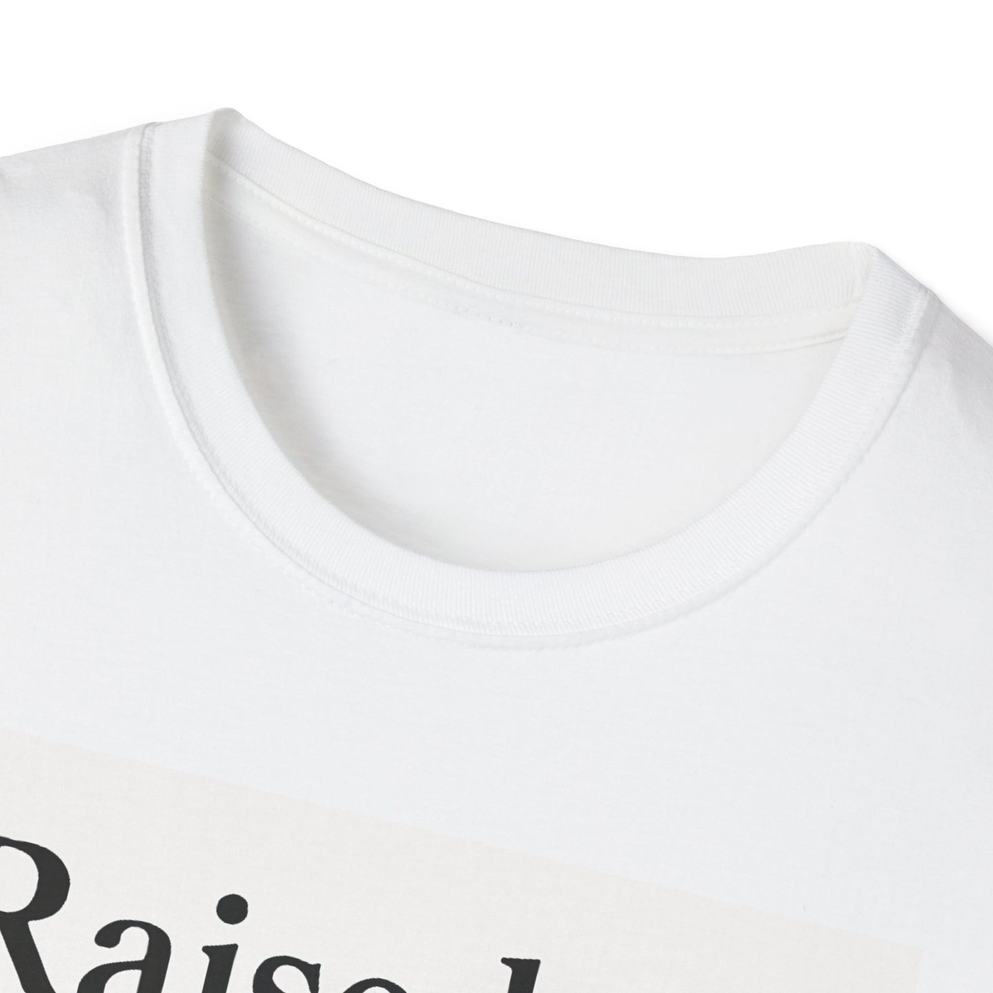 Unisex Softstyle T-Shirt - Raised By Memes, Schooled By Life